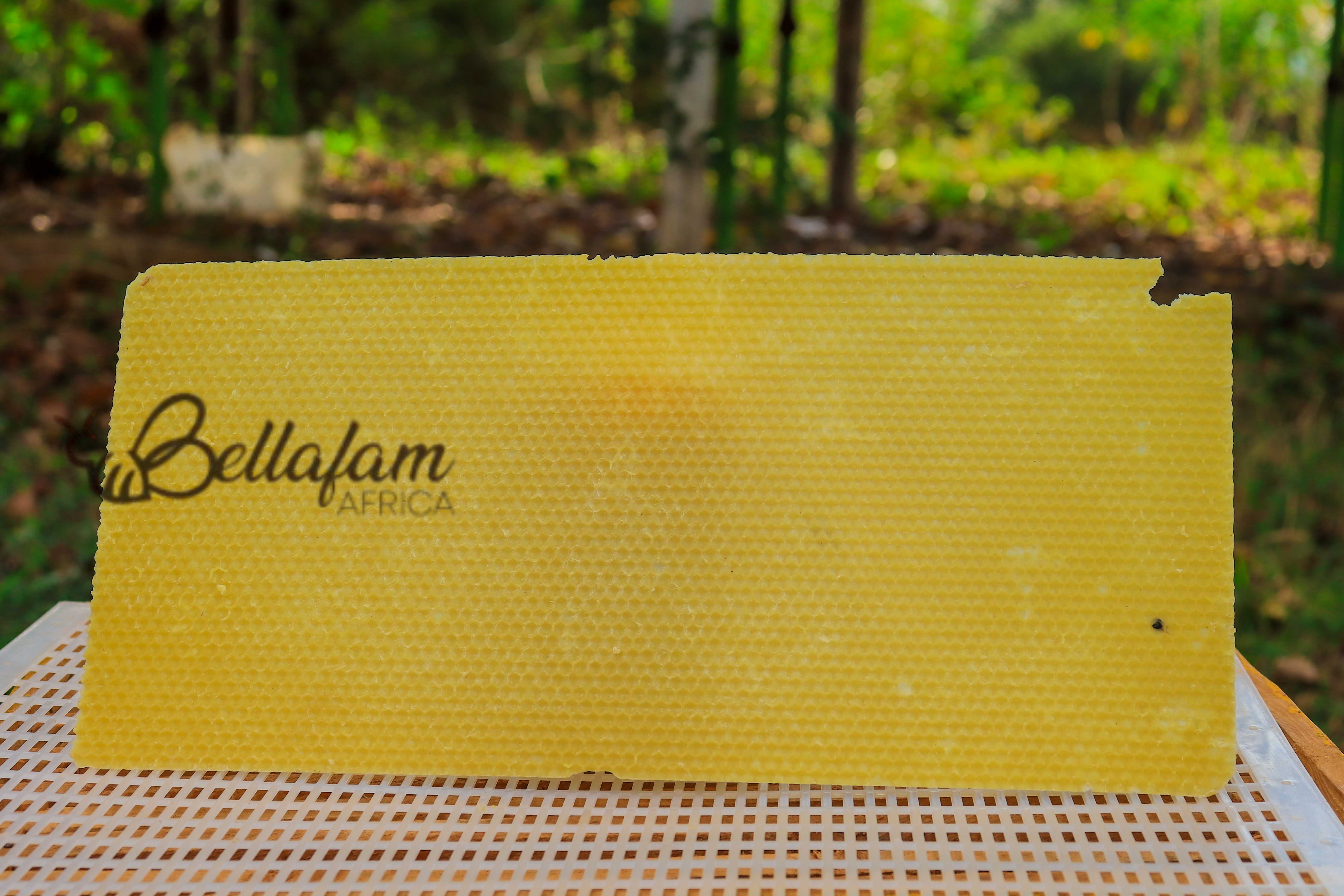 Beewax Foundation sheets